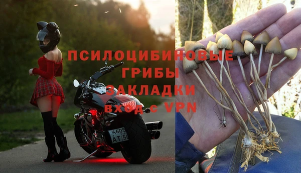 стафф Гусиноозёрск