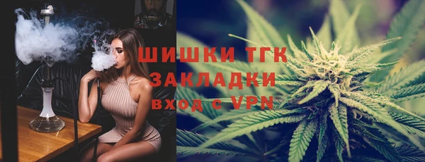 гидропоника Гусь-Хрустальный