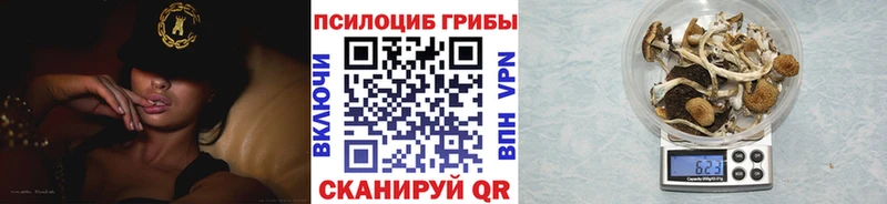 даркнет какой сайт  kraken вход  Енисейск  Галлюциногенные грибы Psilocybine cubensis 